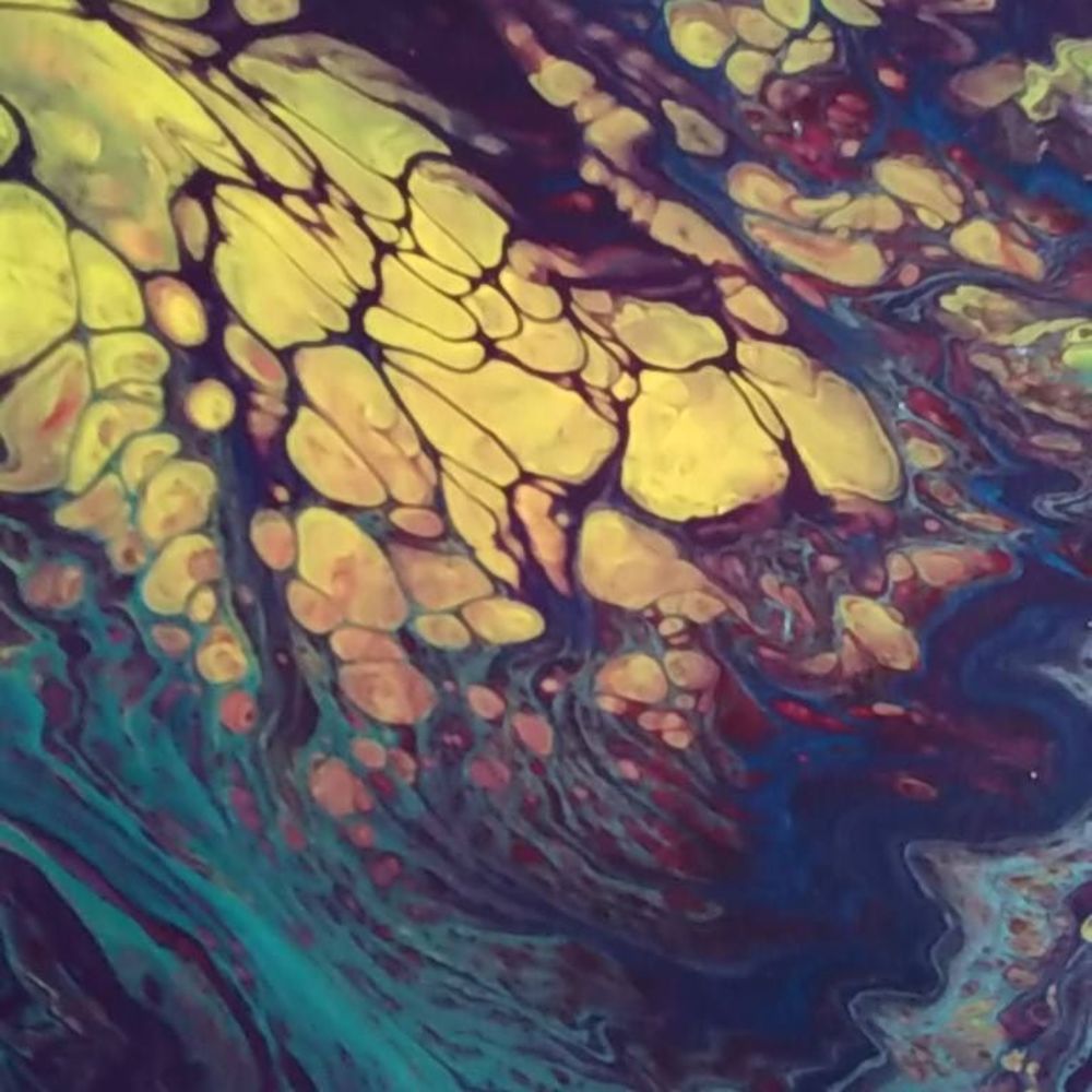 Meet your Posher, Carol